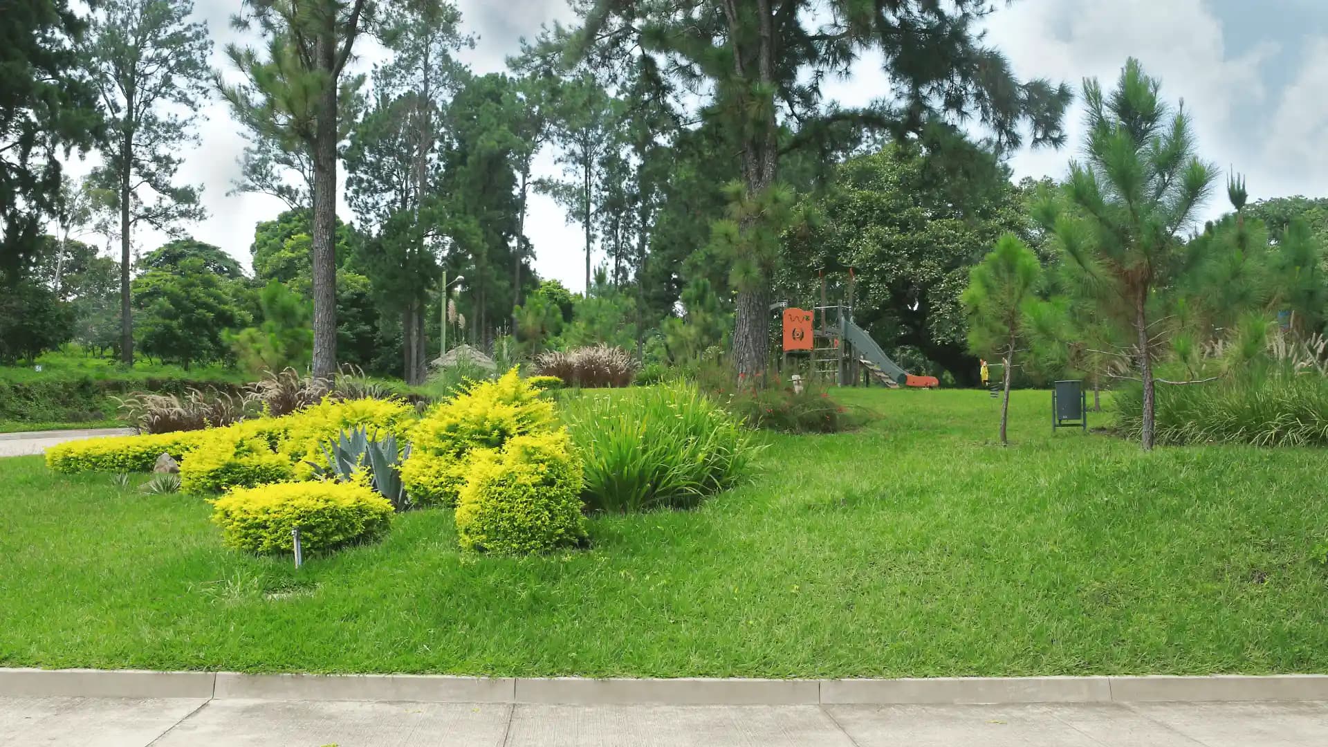 Foto 4 del proyecto