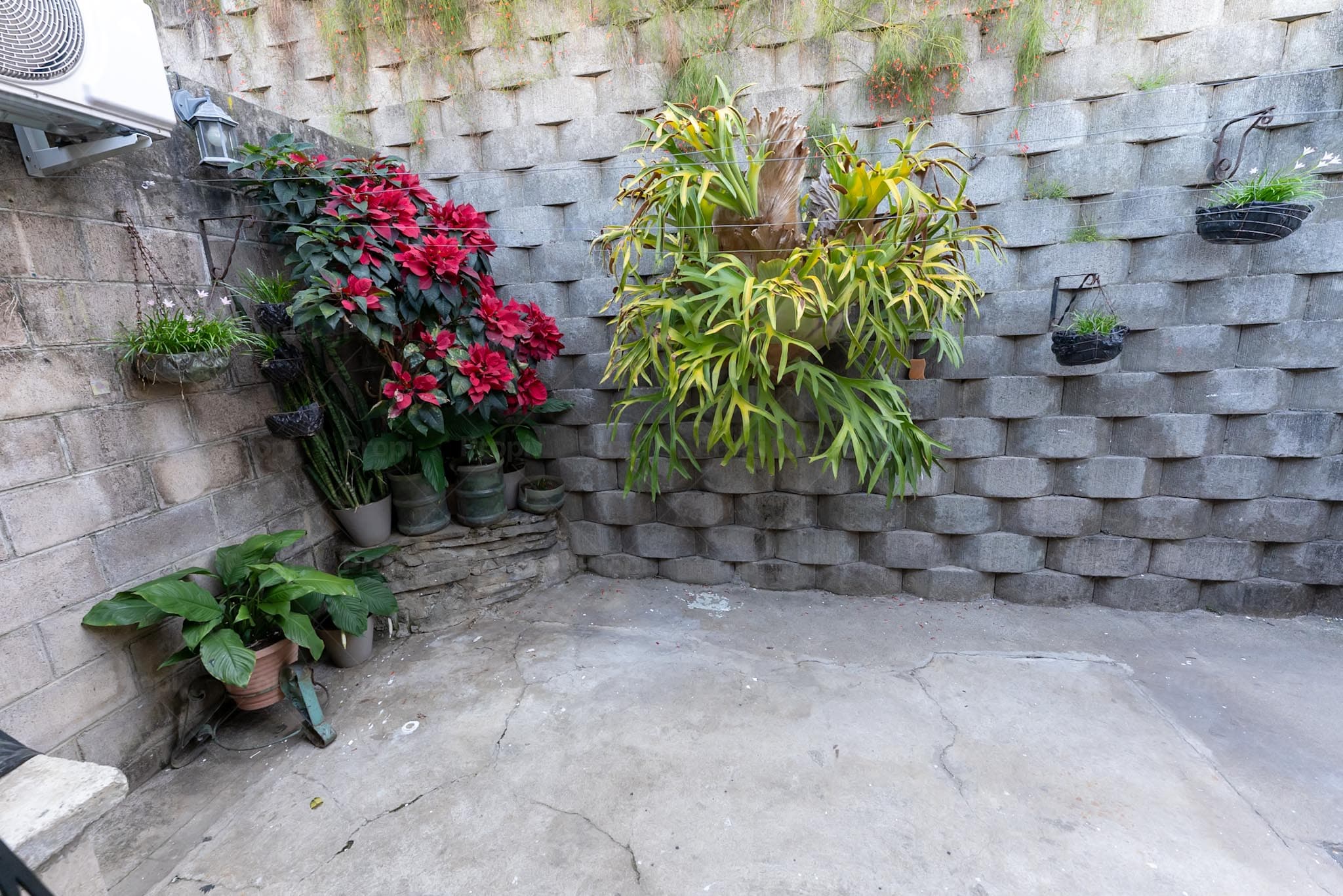 Foto 12 del proyecto