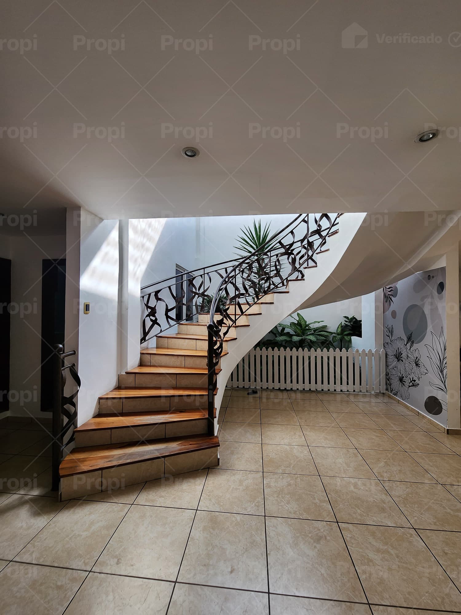 Foto 4 del proyecto