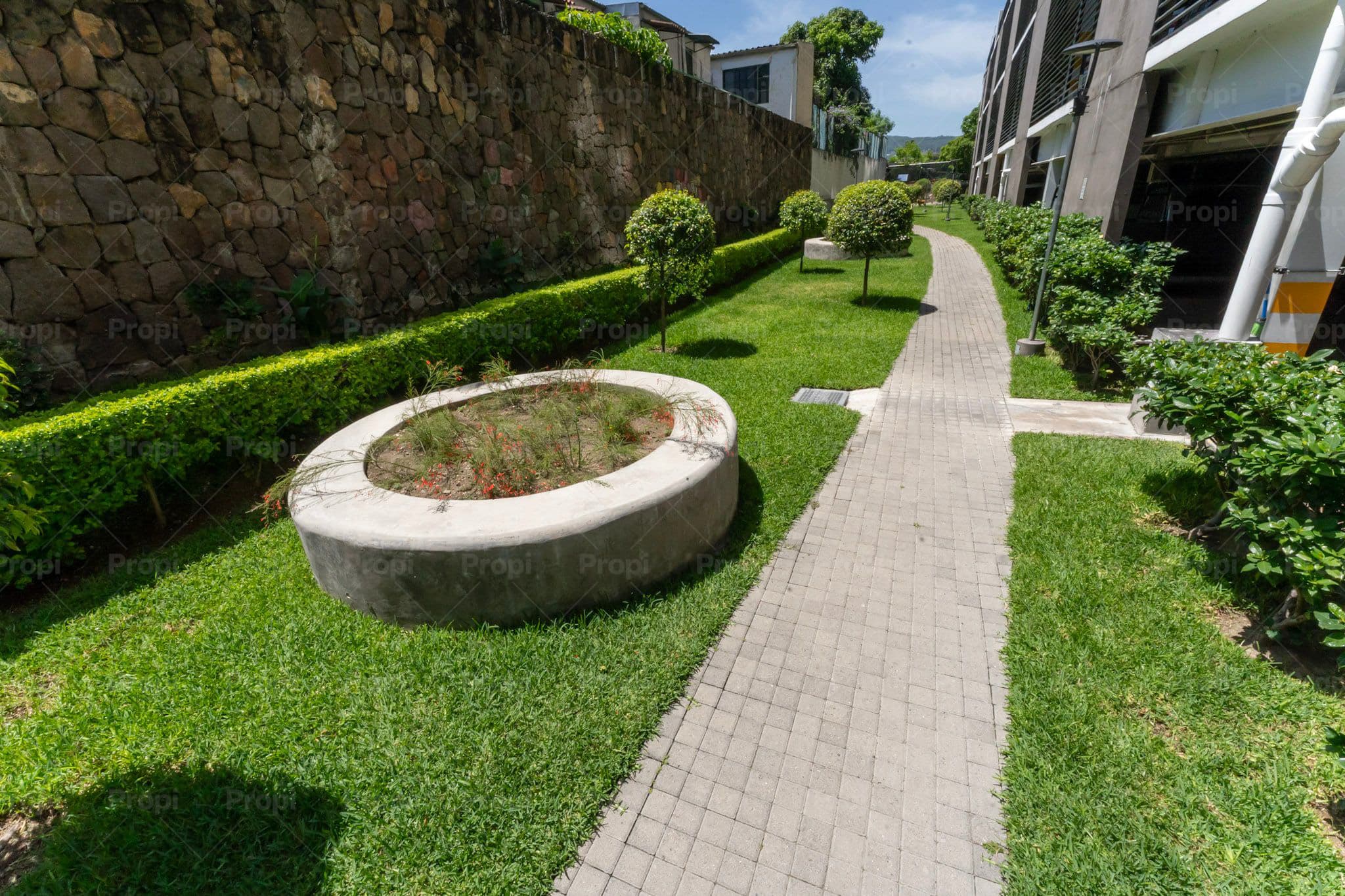 Foto 24 del proyecto